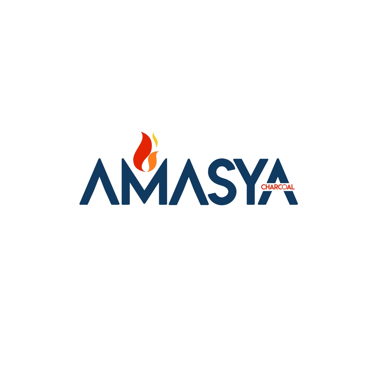 Amasya Industrial Investments Company
